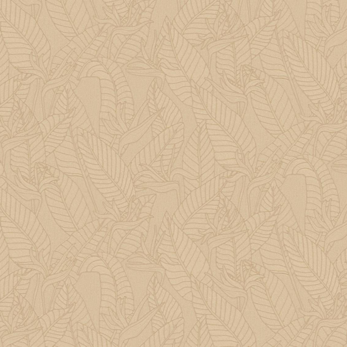 Strelitzia Wallpaper