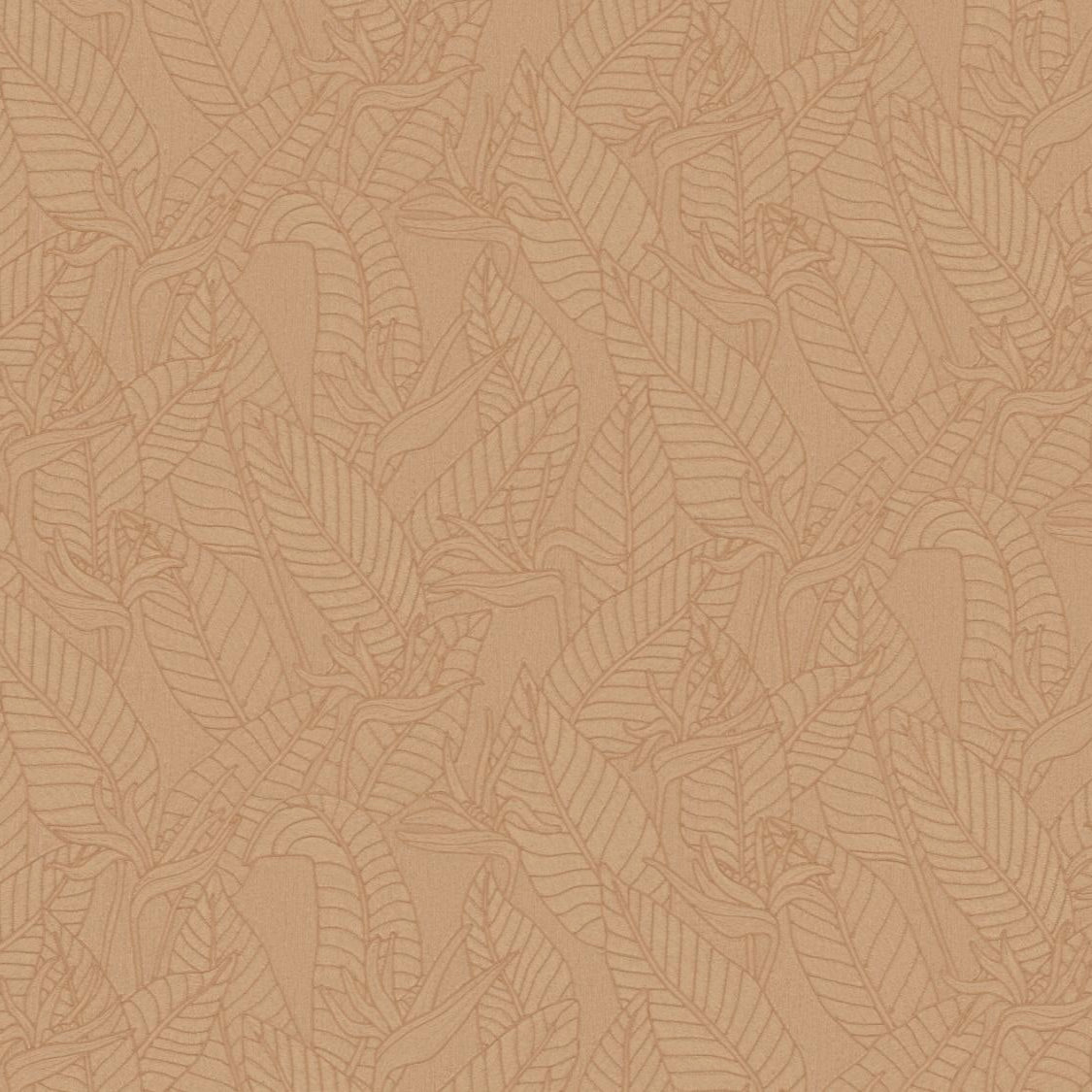 Strelitzia Wallpaper