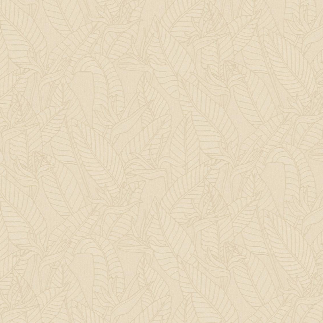 Strelitzia Wallpaper