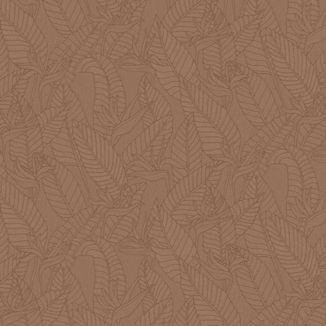 Strelitzia Wallpaper
