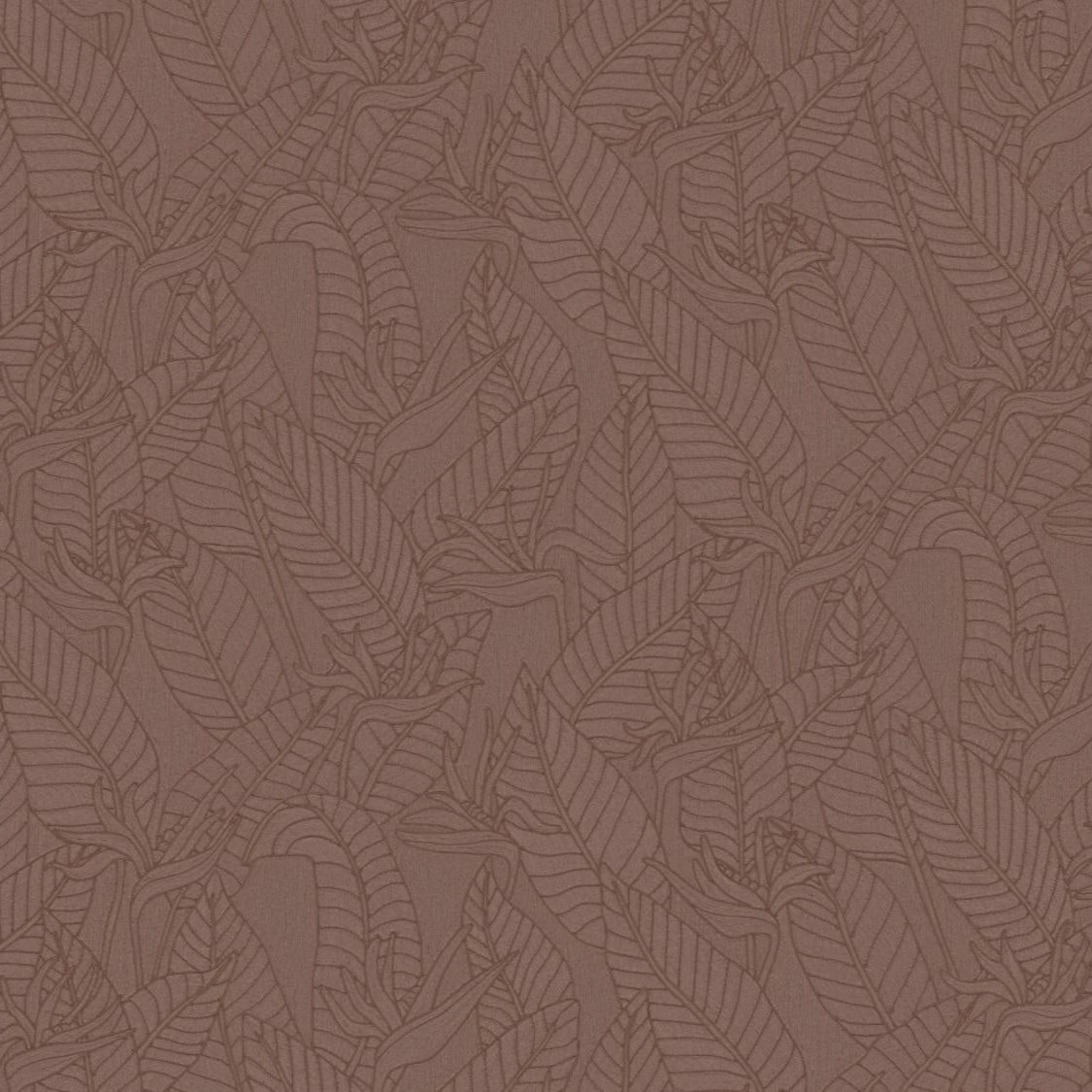 Strelitzia Wallpaper
