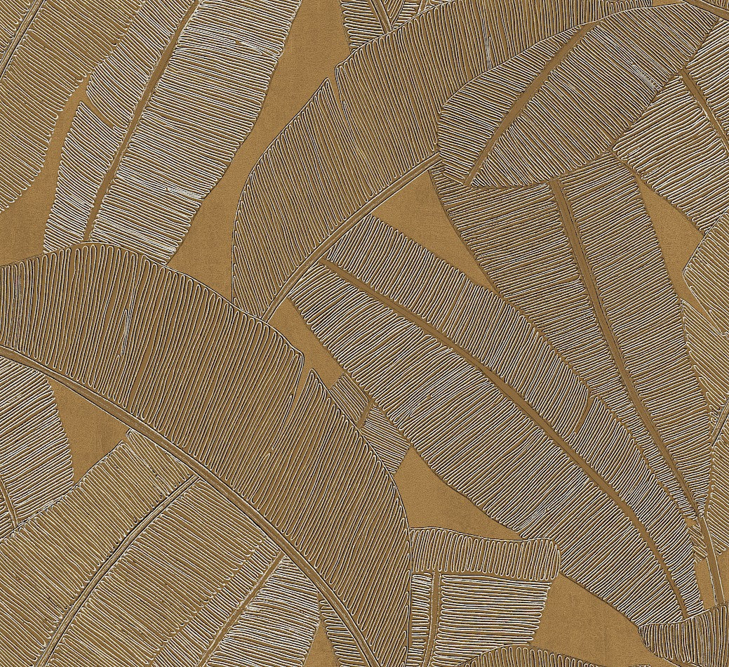 Banyan Palm Wallpaper