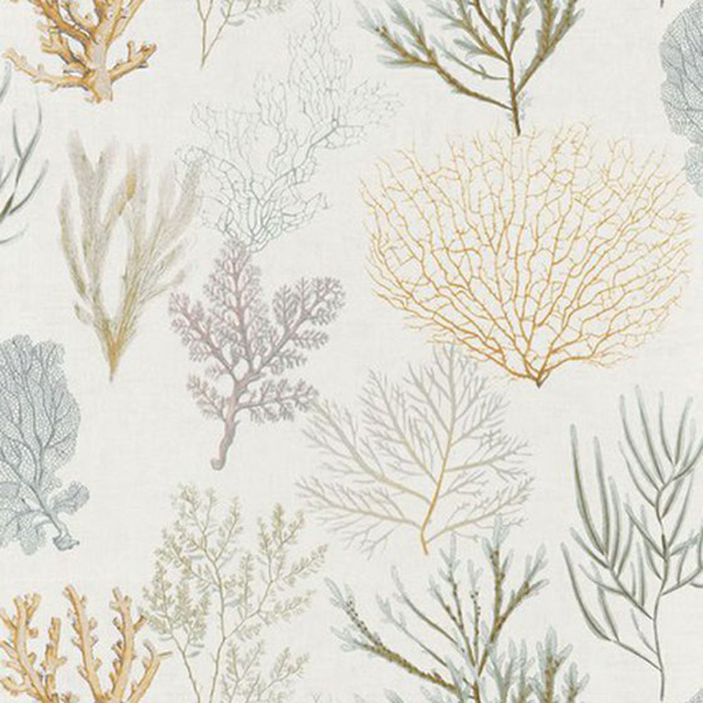 Corail Wallpaper