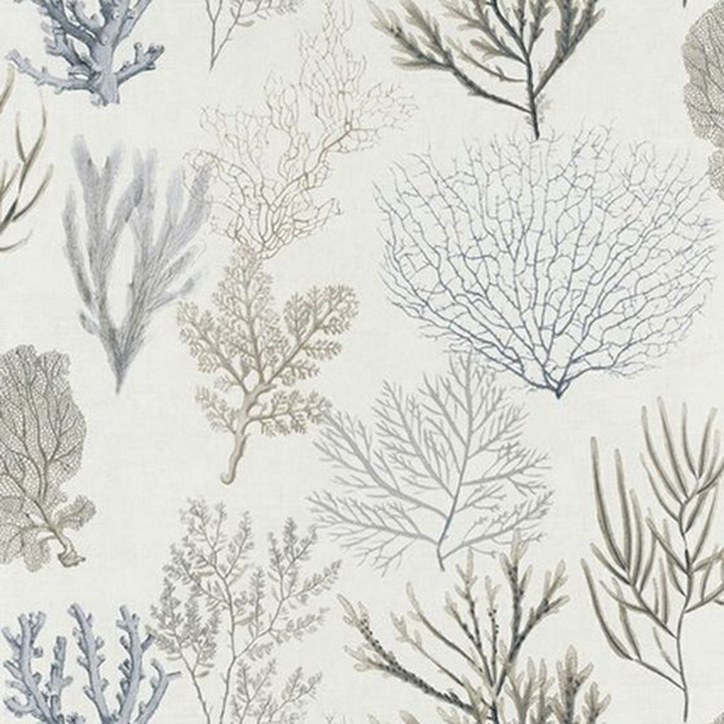 Corail Wallpaper
