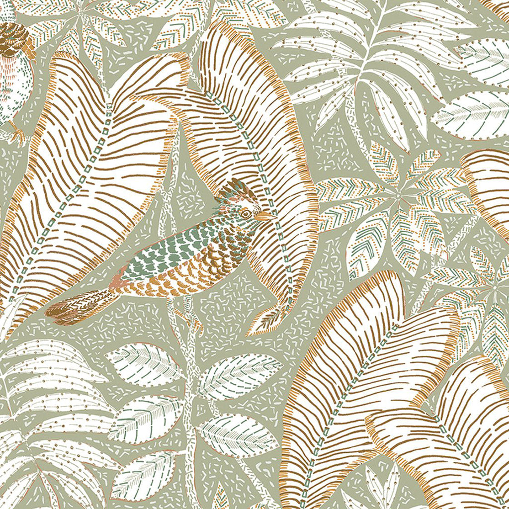 Sibia Wallpaper