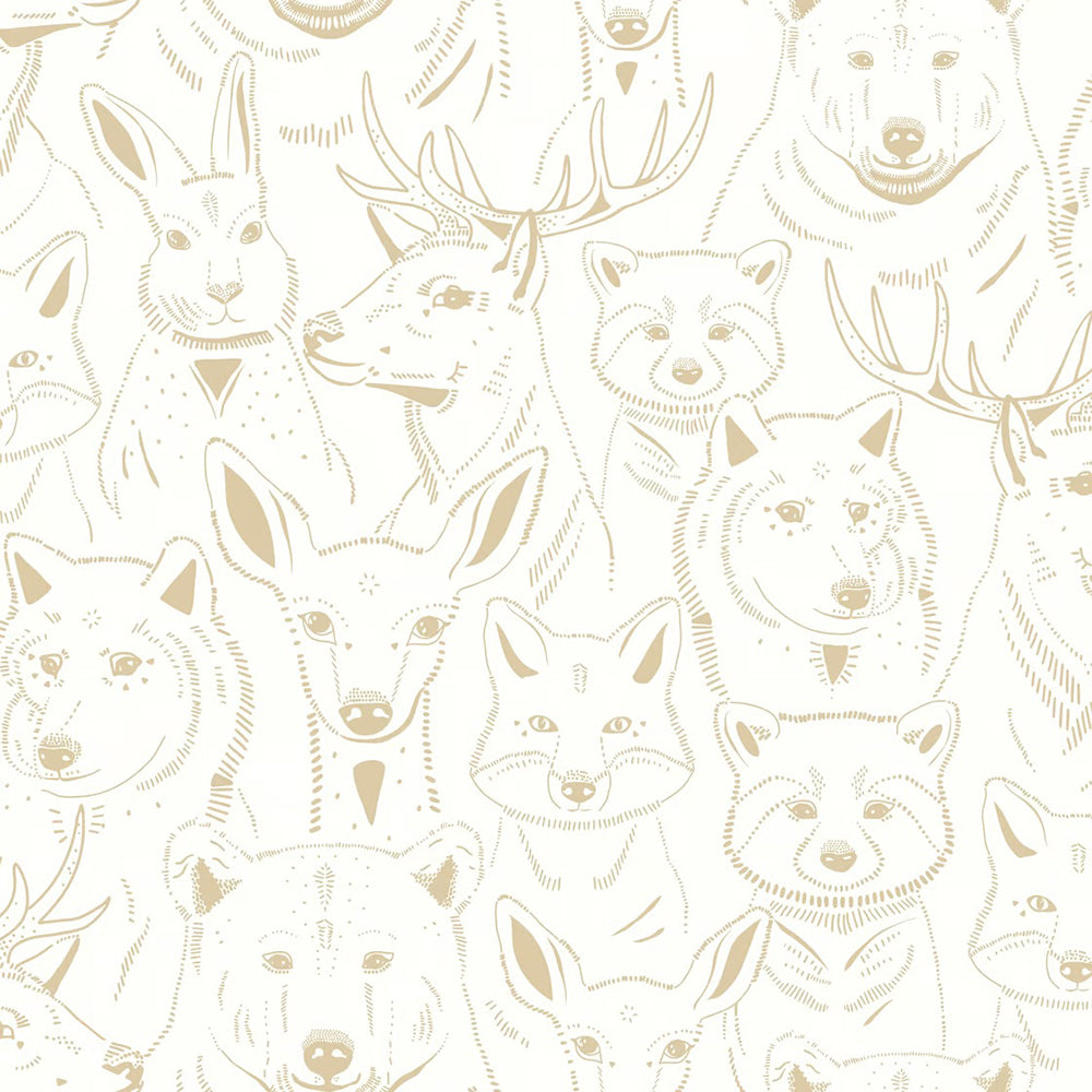 Amuse Wallpaper