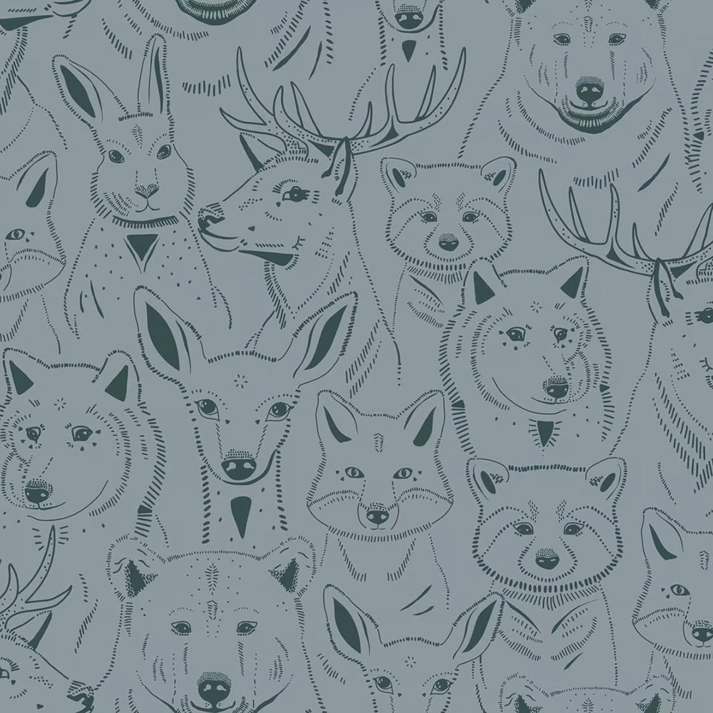Amuse Wallpaper