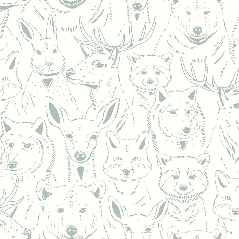 Amuse Wallpaper
