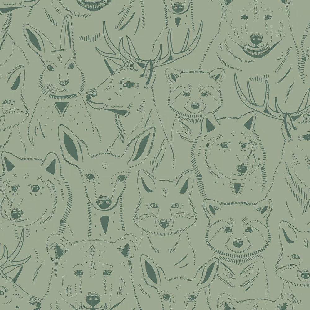Amuse Wallpaper