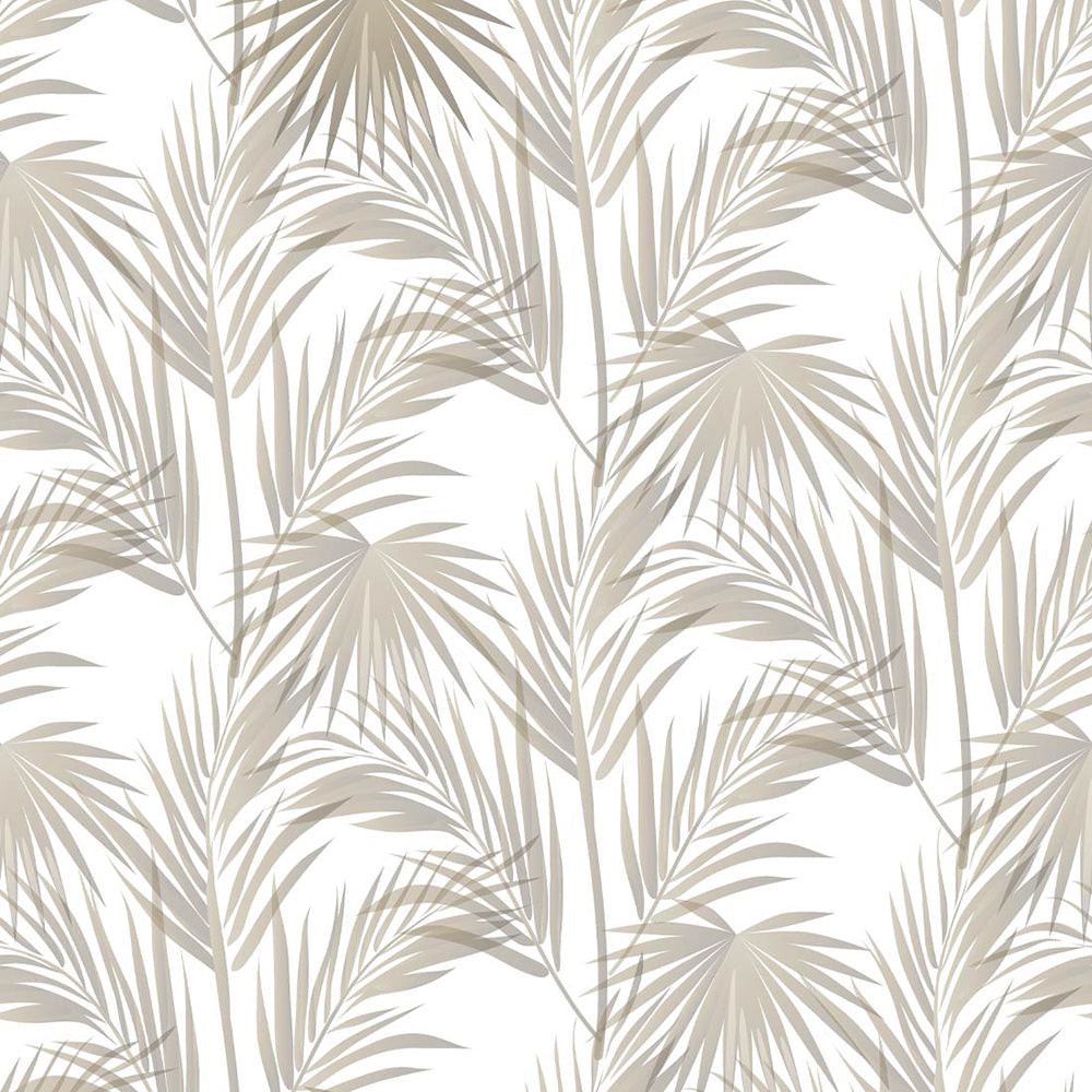 Daintree Wallpaper