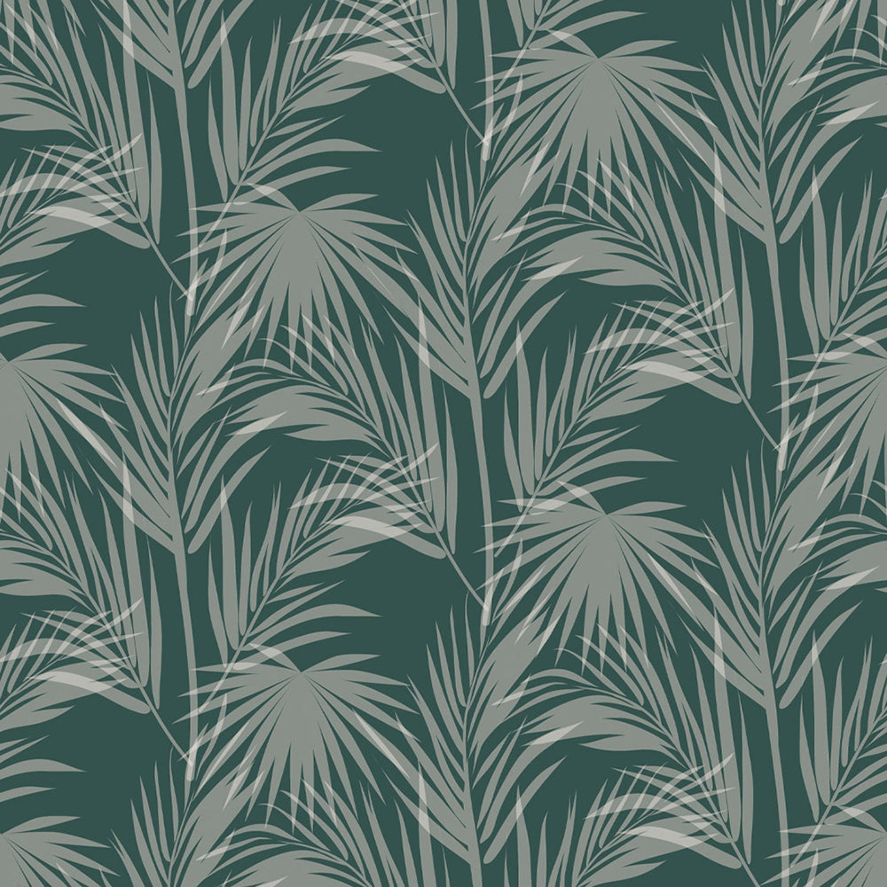 Daintree Wallpaper