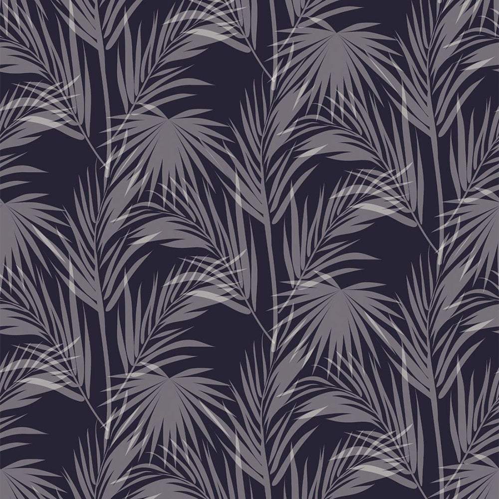 Daintree Wallpaper