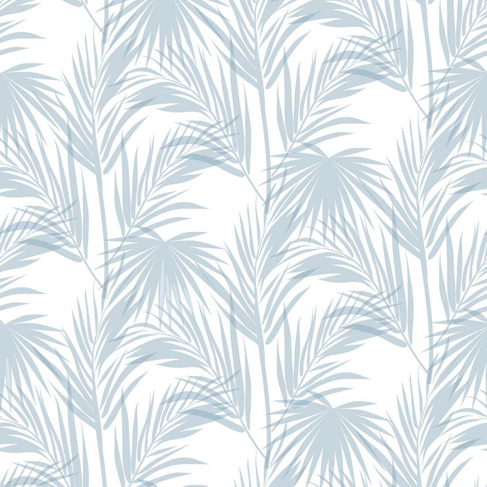 Daintree Wallpaper