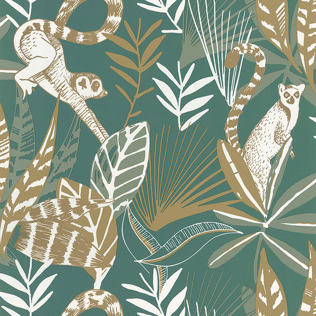 Madagascar Wallpaper