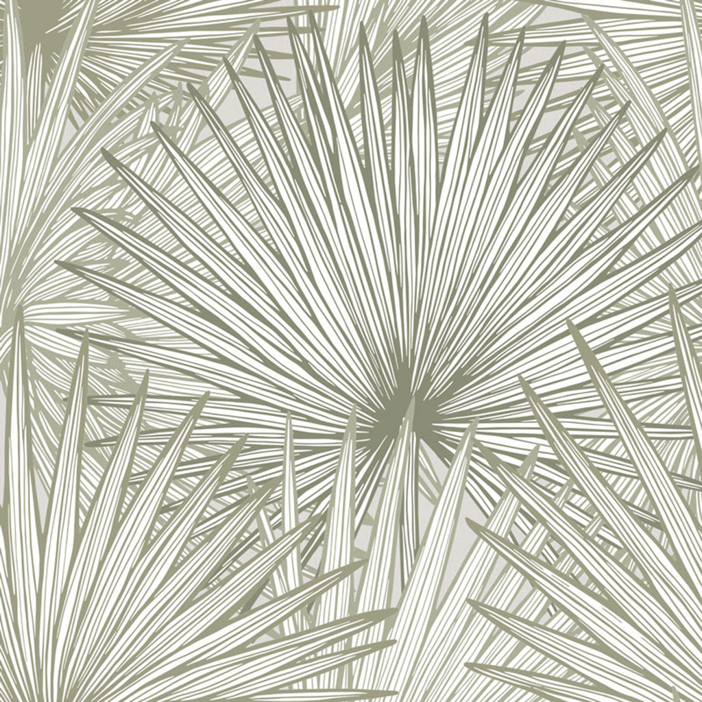 Nobilis Palm Grande Wallpaper