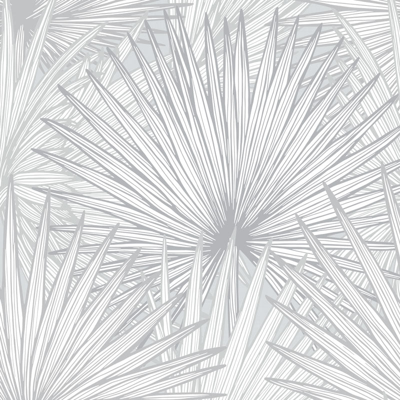 Nobilis Palm Grande Wallpaper