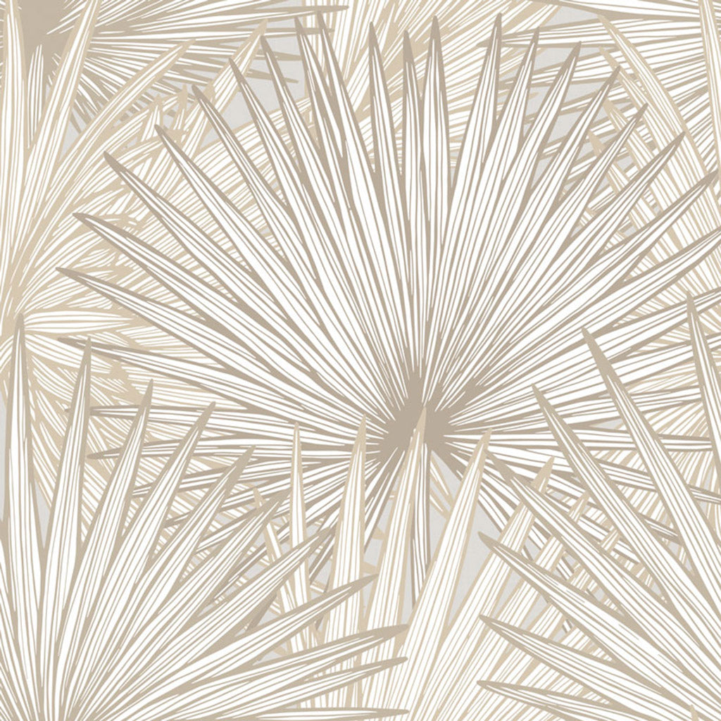 Nobilis Palm Grande Wallpaper