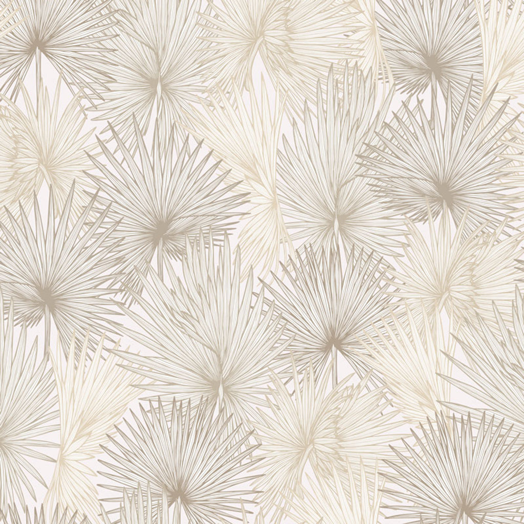 Nobilis Palm Wallpaper