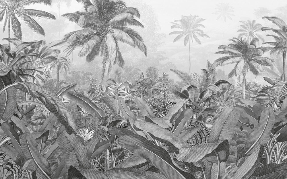 Amazonia Black and White Mural