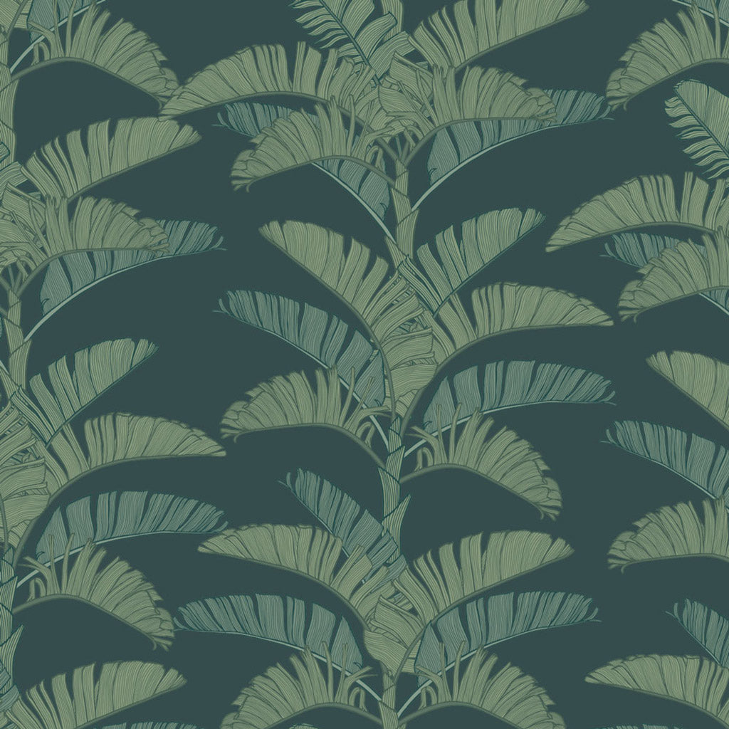 Tropical Plantation Wallpaper