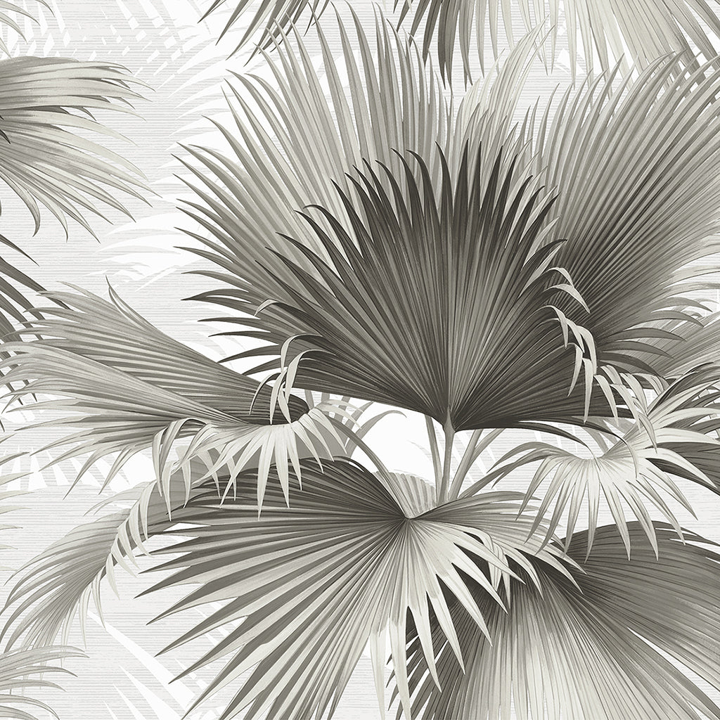 Summer Palm Wallpaper