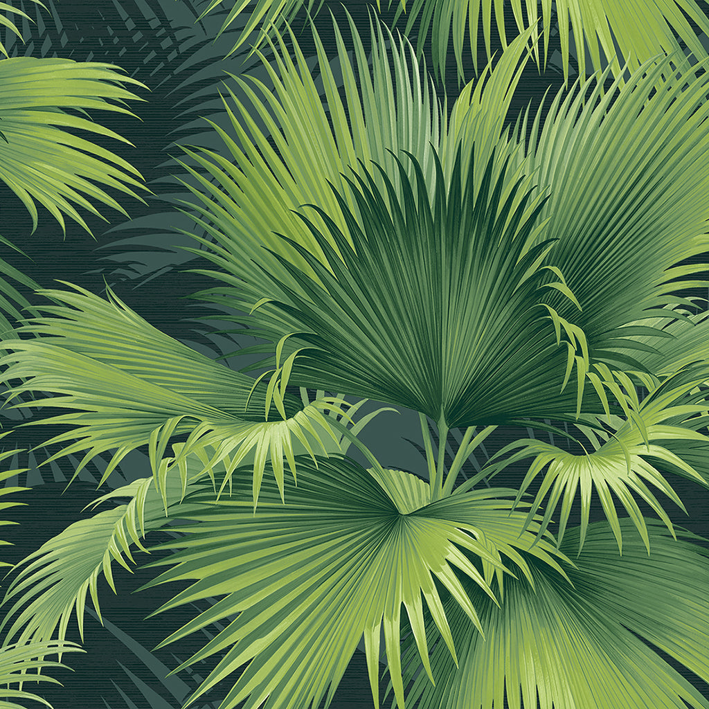 Summer Palm Wallpaper