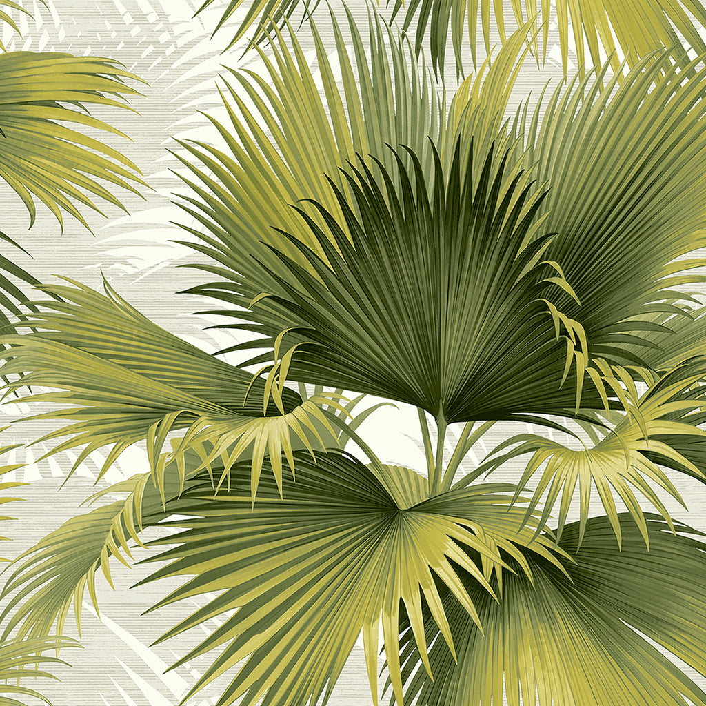 Summer Palm Wallpaper