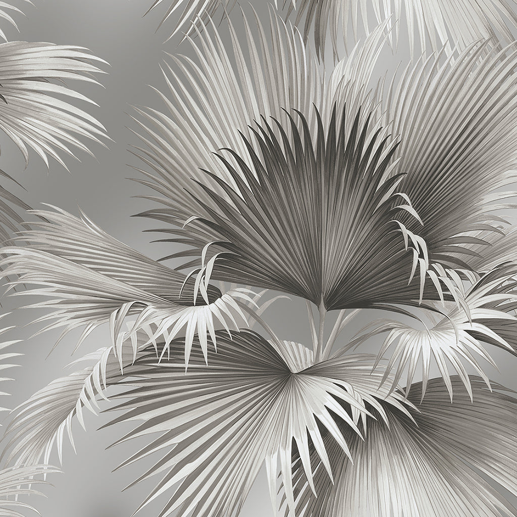 Summer Palm Wallpaper