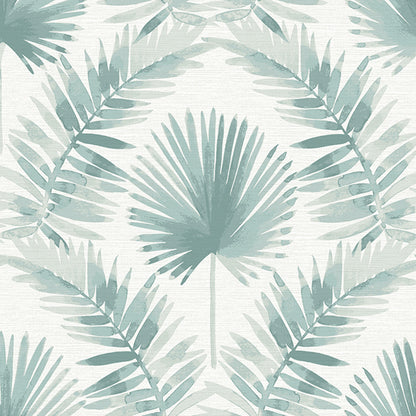 Calla Palm Wallpaper