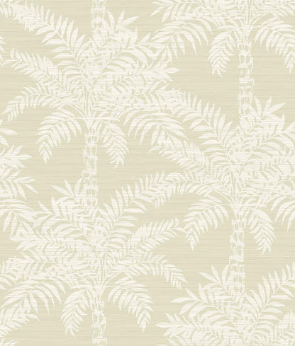 Beach Palms- Daisy Bennett Wallpaper