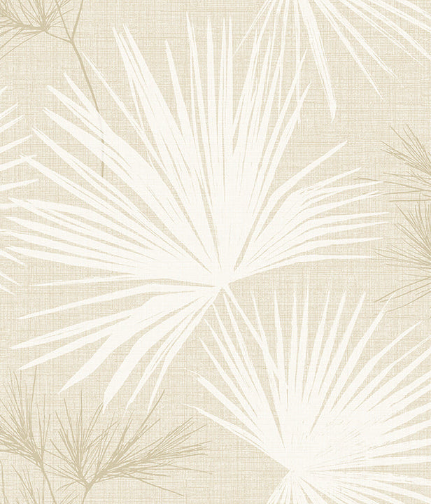 Hatteras Palms Wallpaper