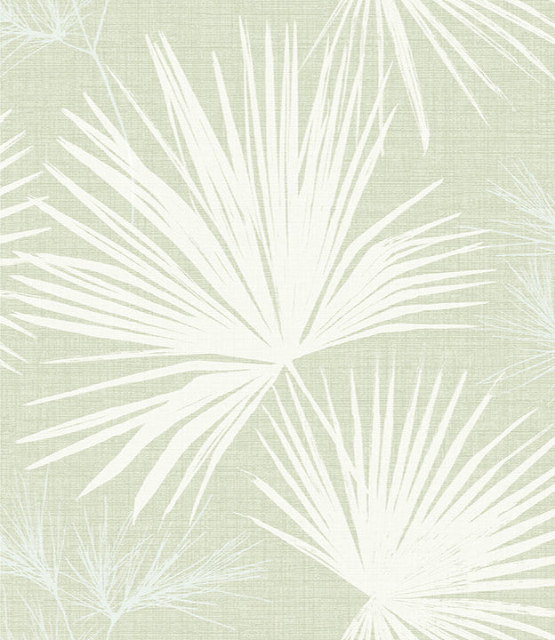 Hatteras Palms Wallpaper