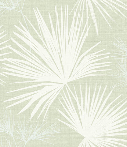 Hatteras Palms Wallpaper