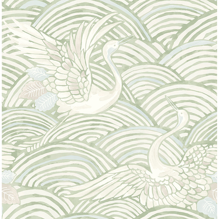 Egret Tidal Dance Wallpaper