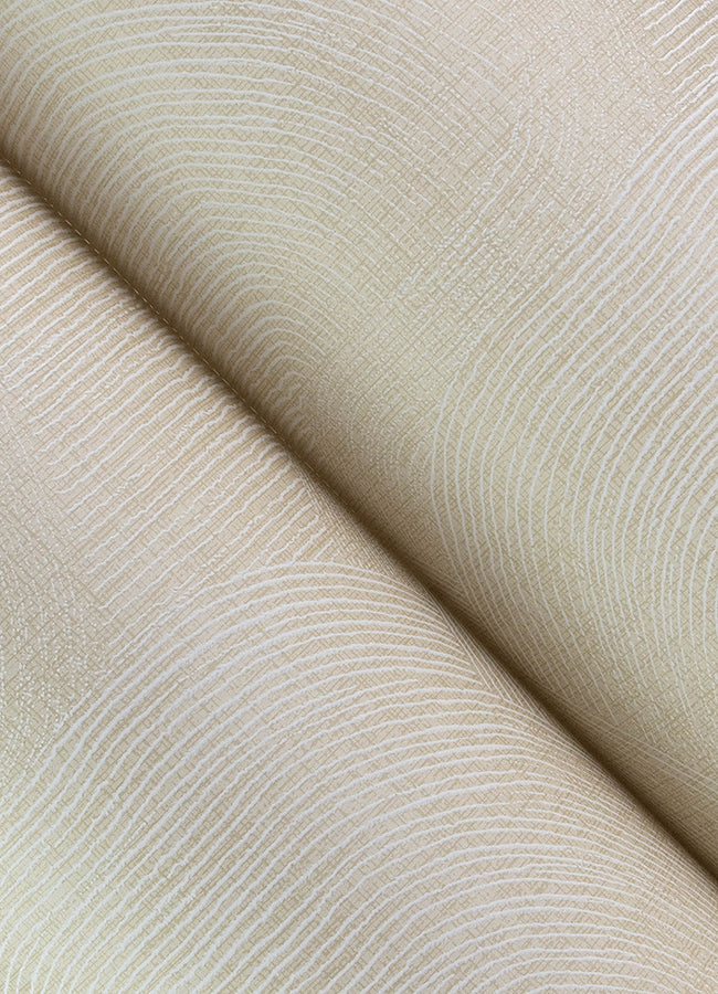 Folly Curves Wallpaper