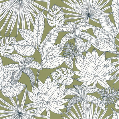Hawai Wallpaper