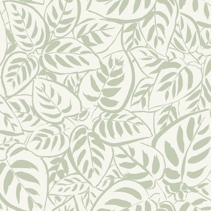 Caluna Leaf Wallpaper
