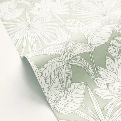 Hawai Wallpaper