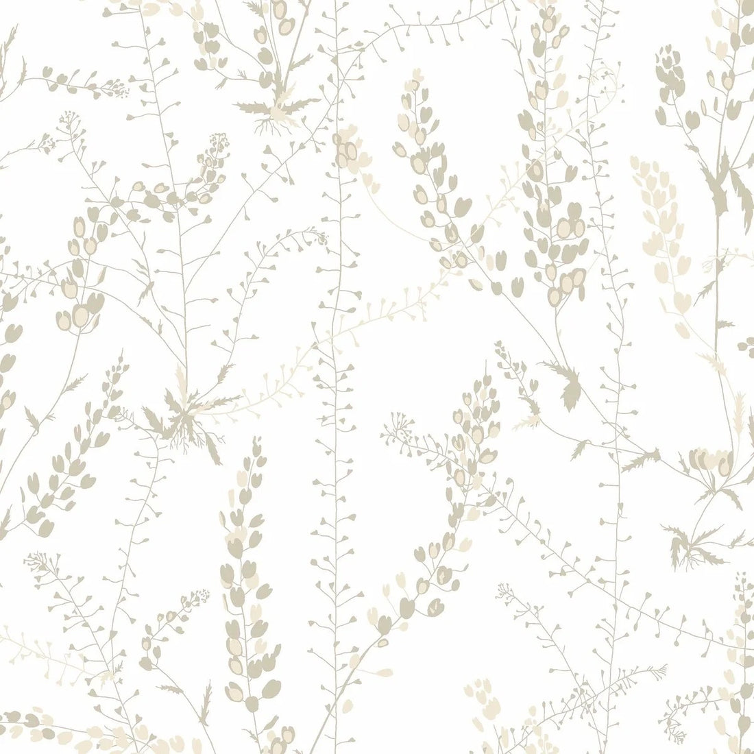 Bladranker Vine Wallpaper