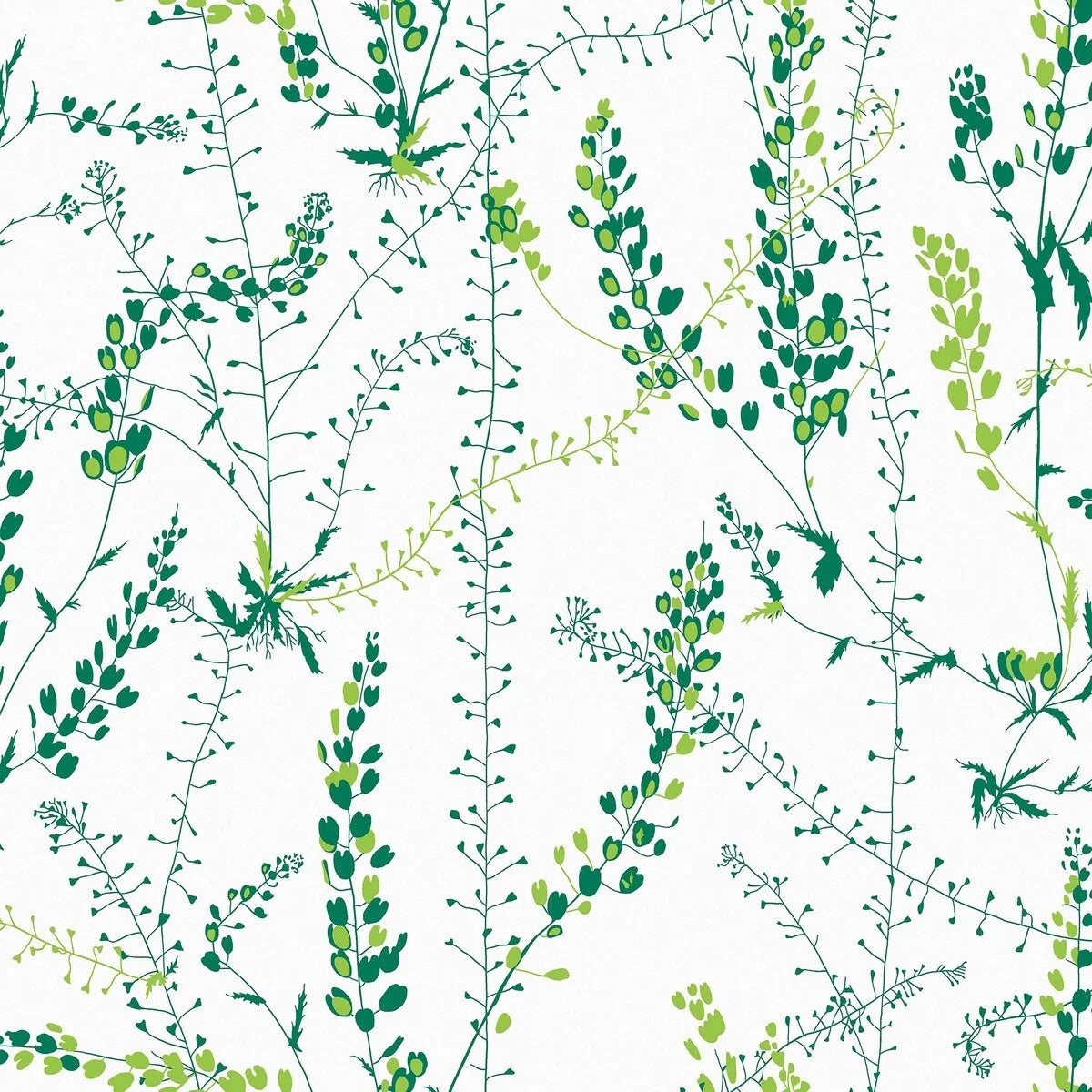 Bladranker Vine Wallpaper