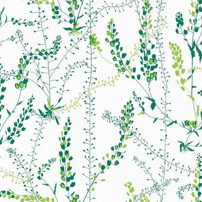 Bladranker Vine Wallpaper