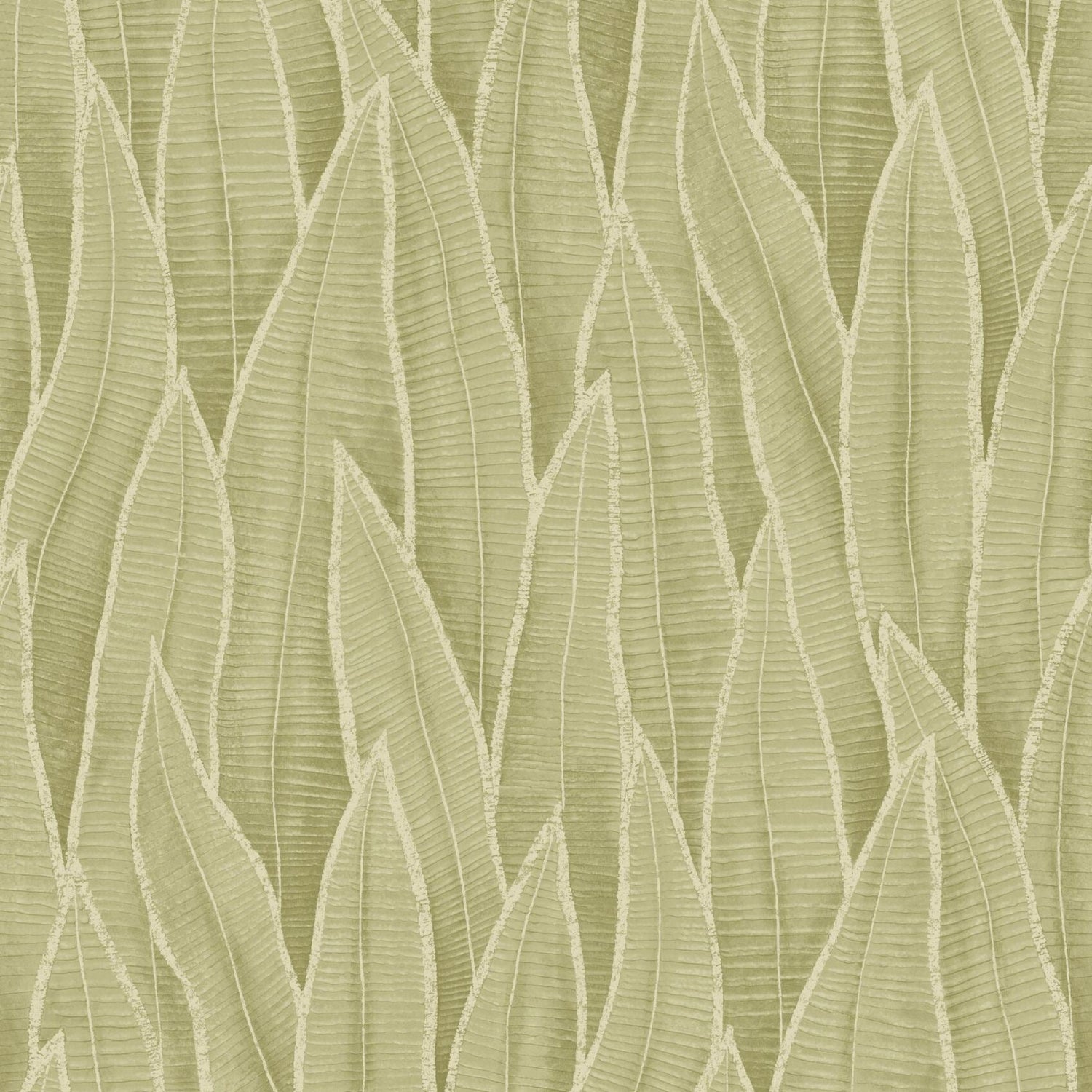 Succulent Leaves Wallpaper