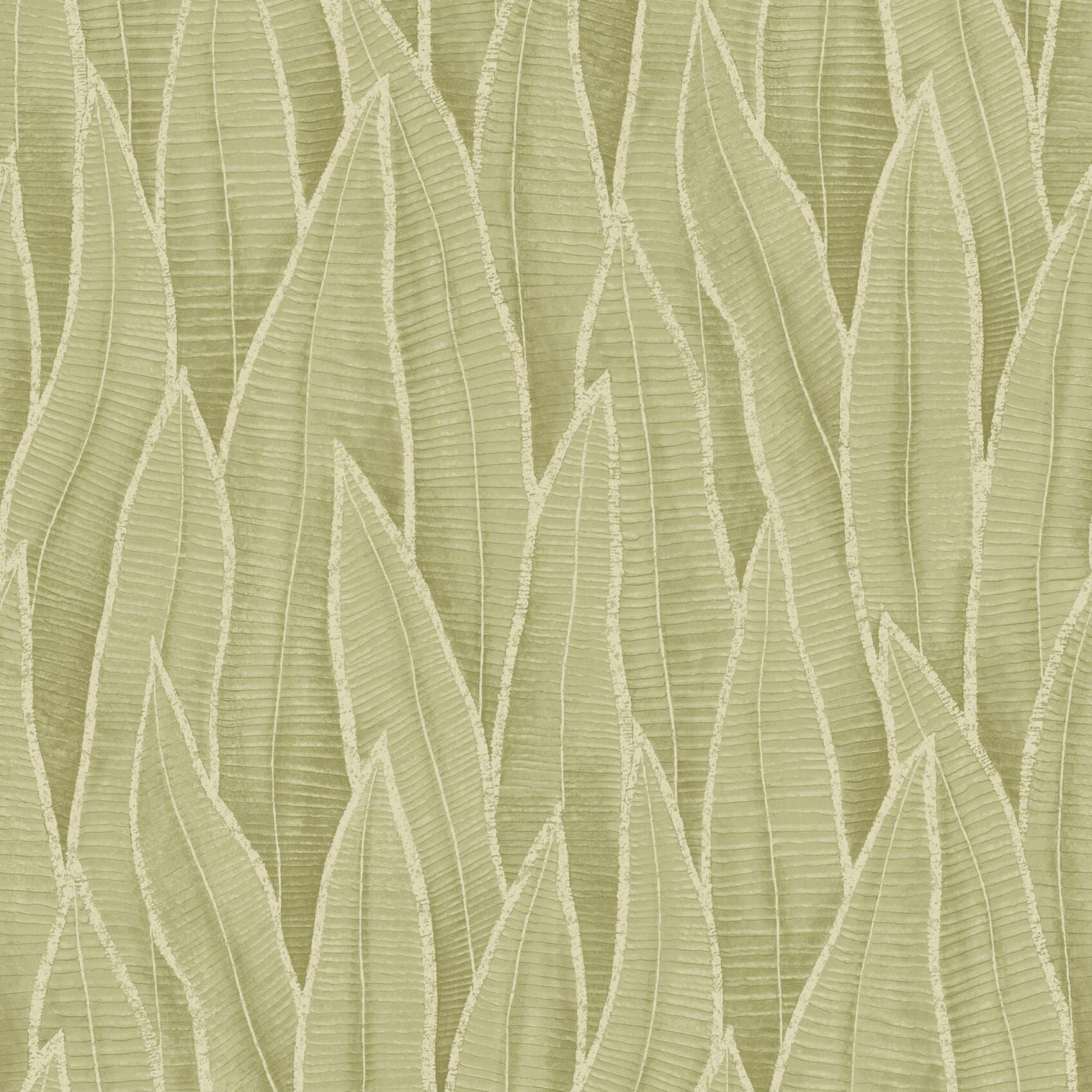 Succulent Leaves Wallpaper