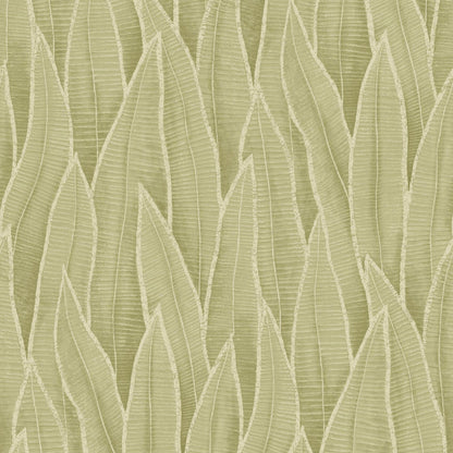 Succulent Leaves Wallpaper