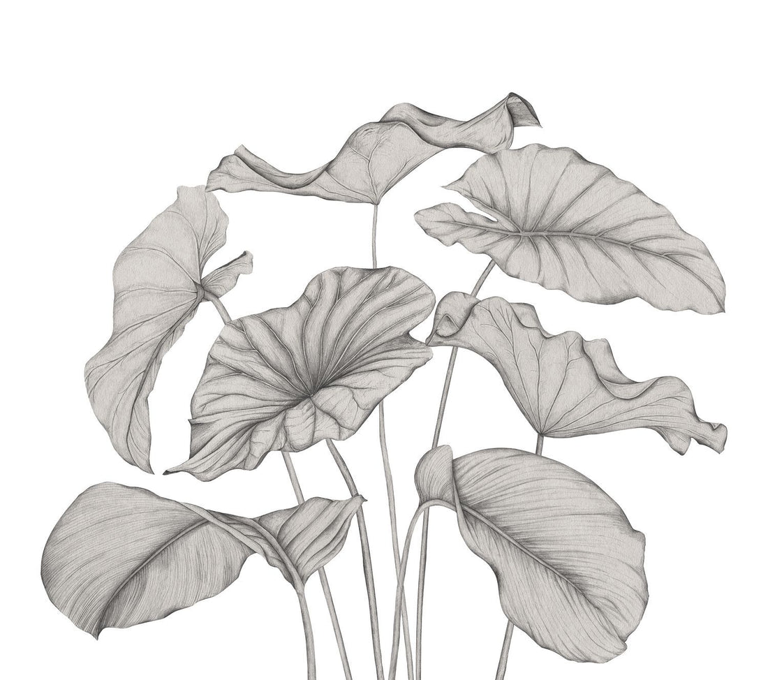 Alocasia Plant Mural