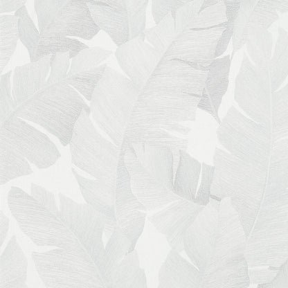 Banana Leaf Canopy Wallpaper