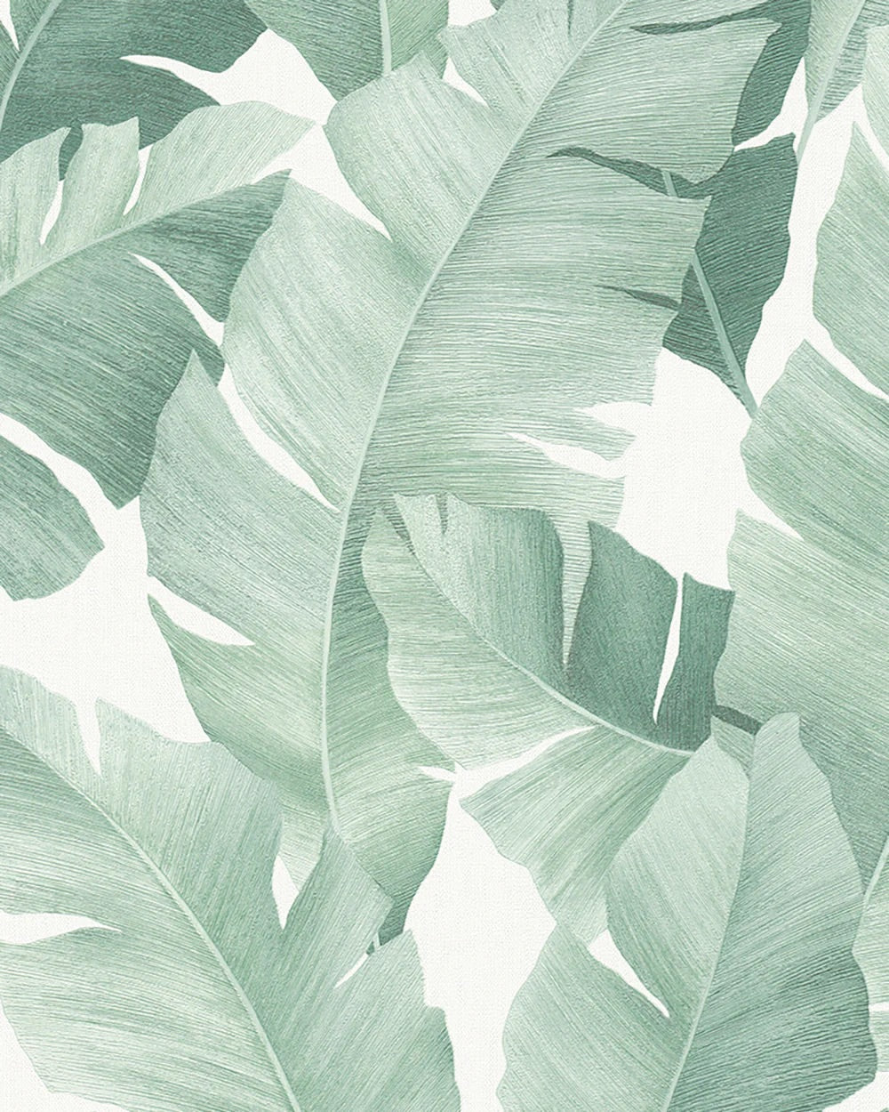 Banana Leaf Canopy Wallpaper
