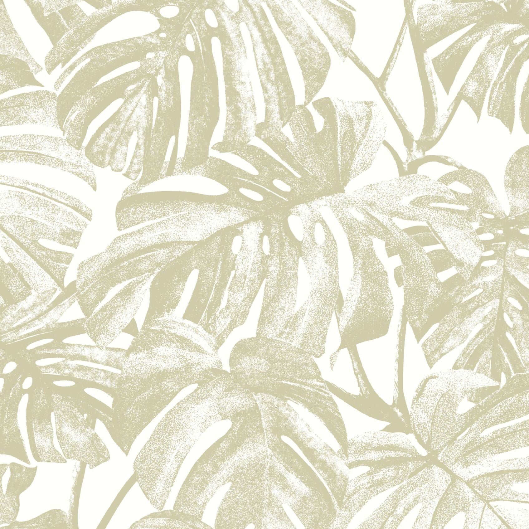 Mata Monstera Wallpaper