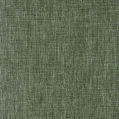 Shinok Le Lin Wallpaper