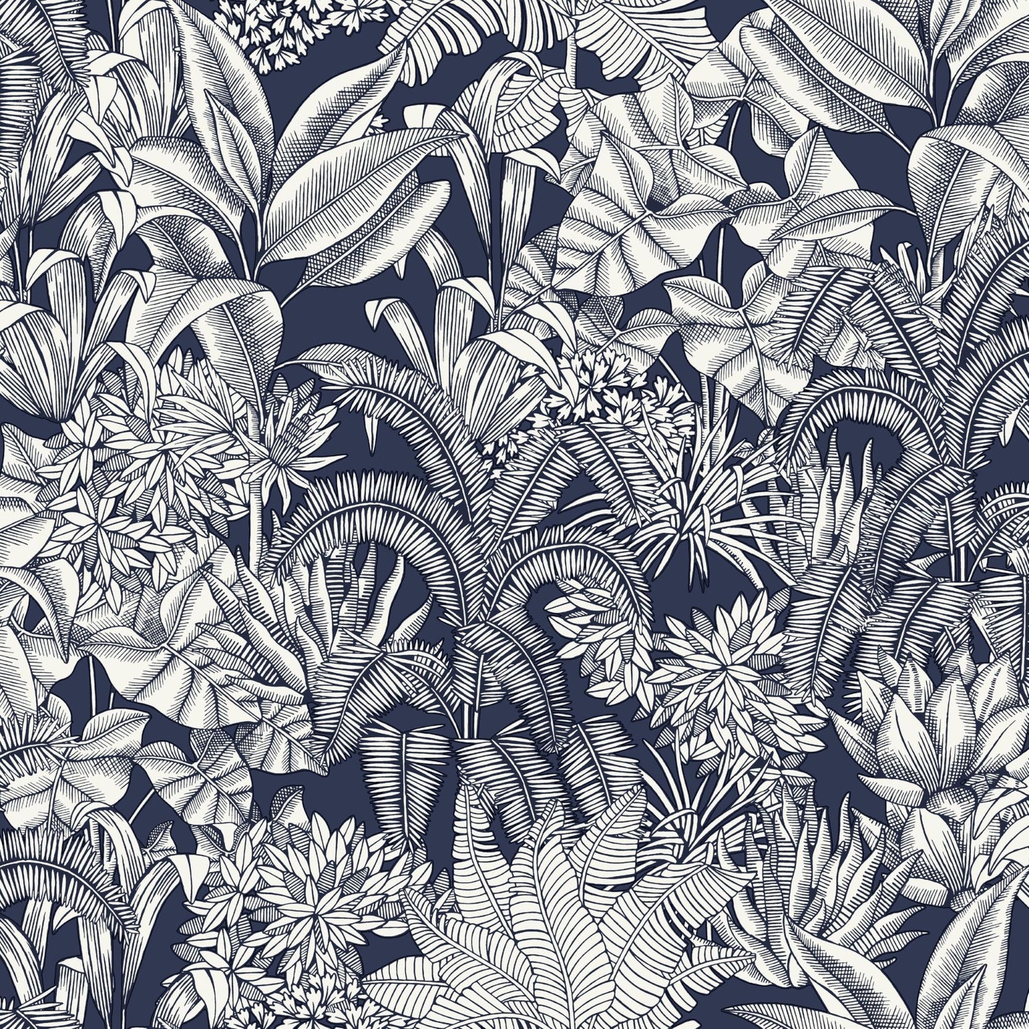 Palmaris Wallpaper